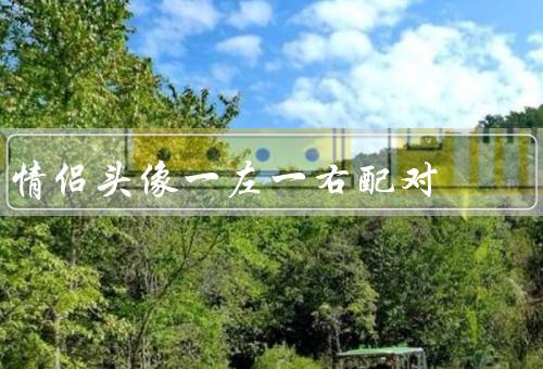 情侣头像一左一右配对（表达情感／增强归属感／传递信任和稳定感）