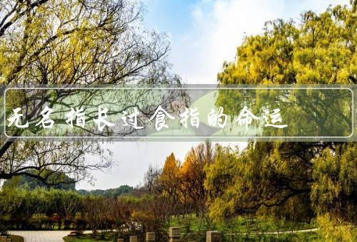 无名指长过食指的命运，长过食指的无名指／心理影响／积极应对