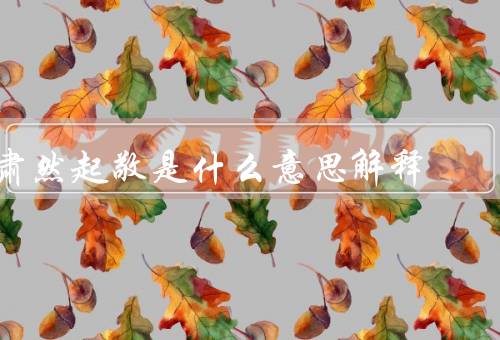 肃然起敬是什么意思解释（表现／意义／重要性）