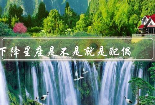 下降星座是不是就是配偶（个人关系、亲密关系、重要性）