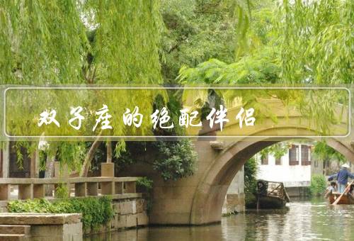 双子座的绝配伴侣（智慧陪伴／情感支持／自由互动）