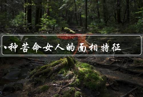 八种苦命女人的面相特征（眉毛、眼睛、鼻子）
