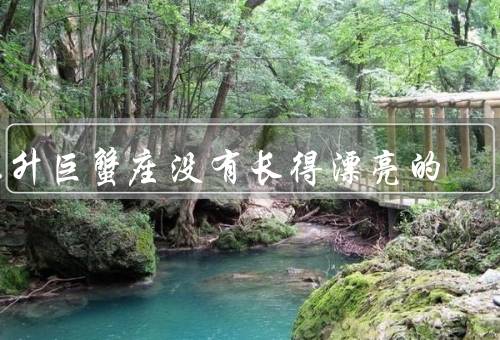 上升巨蟹座没有长得漂亮的（上升巨蟹座没有长得漂亮的）