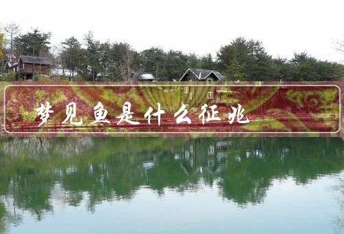 梦见鱼是什么征兆（财富的象征、繁荣的象征、好运的象征）