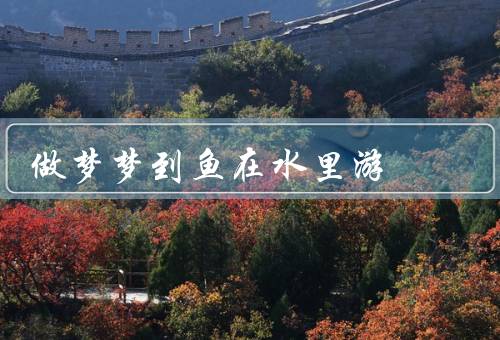 做梦梦到鱼在水里游，开始、鱼儿象征、启示