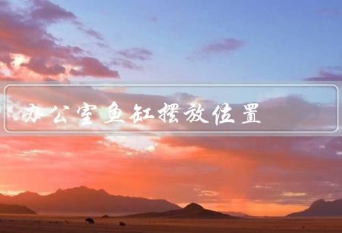 办公室鱼缸摆放位置，高度、位置、与阳光关系