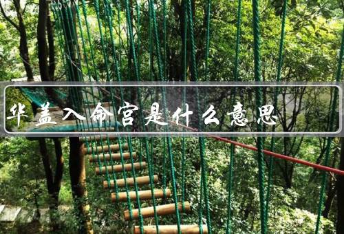 华盖入命宫是什么意思（星的意义／入命宫的意义／结语）