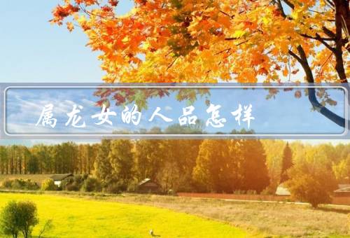 属龙女的人品怎样，独立自主／积极向上／正直诚信