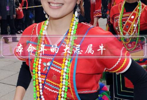本命年的大忌属牛，追求稳定／谨慎决策／低调行事