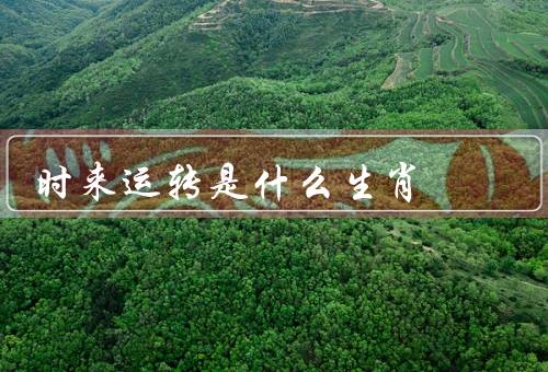 时来运转是什么生肖（鼠／牛／虎）