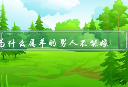 为什么属羊的男人不能嫁（不成熟、安全感、责任心）