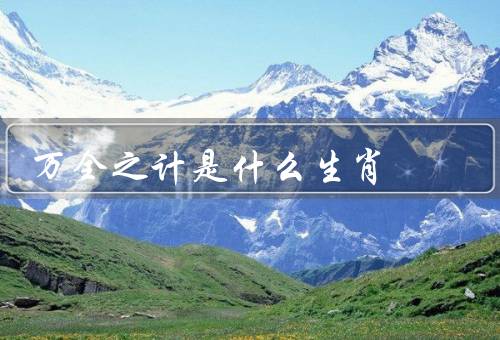 万全之计是什么生肖