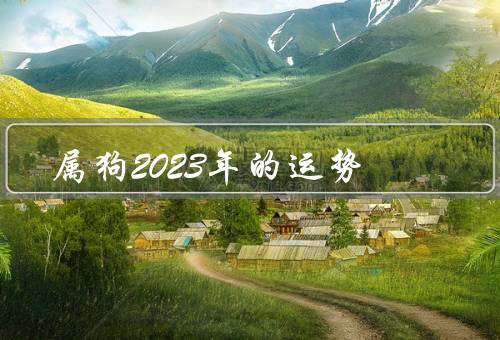 属狗2023年的运势