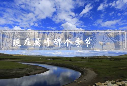 现在属于哪个季节，特点／活动／变化