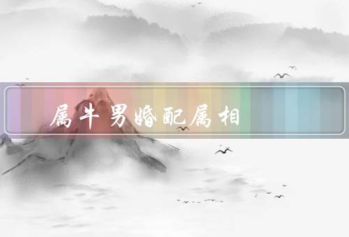 属牛男最佳婚配属相（属鼠女／属蛇女／属猪女）