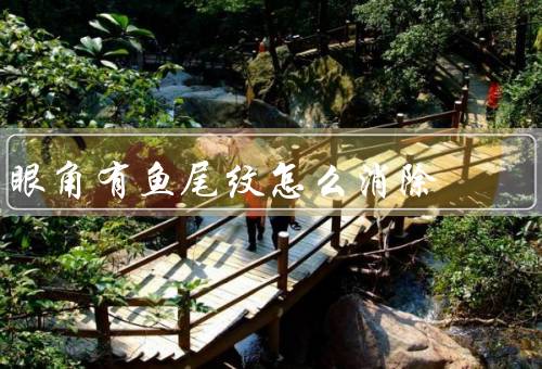 眼角有鱼尾纹怎么消除（保持良好的眼部护理）