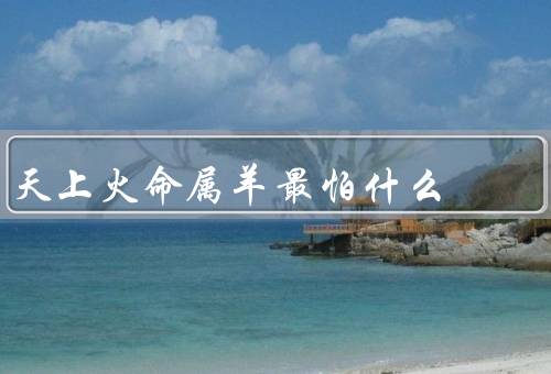 天上火命属羊最怕什么，遭遇冷漠／面对冲突／受到批评