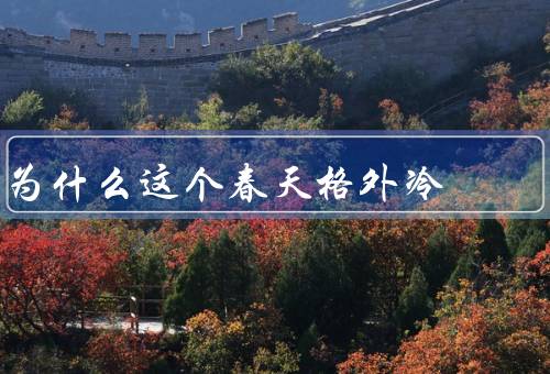 为什么这个春天格外冷（大气环流异常／全球气候变化／自然气象因素）