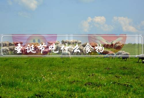 圣诞节吃什么食物，火鸡、布丁、姜饼屋
