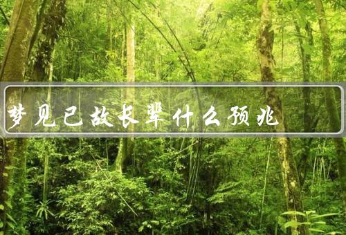 梦见已故长辈什么预兆，意义／可能解释／如何应对