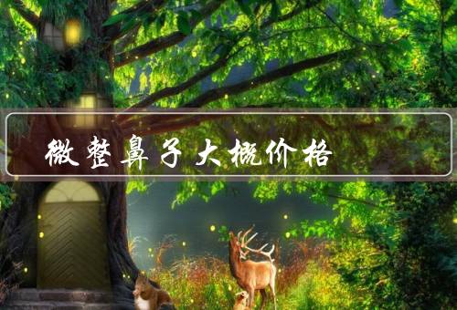 微整鼻子大概价格，微整鼻子的价格因素、注射填充剂的价格