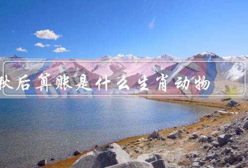 秋后算账是什么生肖动物，猴子／蛇／其他生肖动物