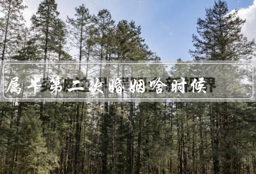 属牛第二次婚姻啥时候，经济状况稳定、心理状态成熟