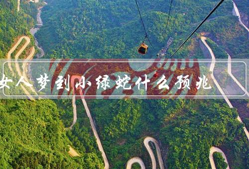 女人梦到小绿蛇什么预兆，遇到新的机会／需警惕欺骗／展现内心力量