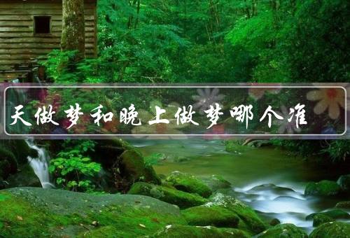 白天做梦和晚上做梦哪个准，白天做梦、晚上做梦、结论