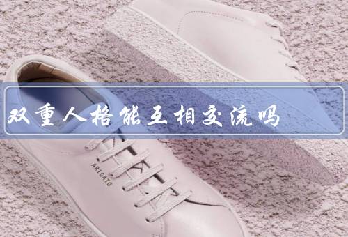 双重人格能互相交流吗，特点／之间的交流／未来的研究方向