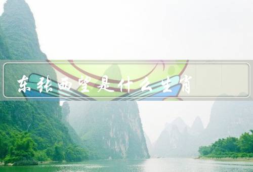 东张西望是什么生肖（属鸡特点／表现／优势和劣势）