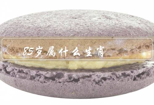 85岁属什么生肖（鼠／牛／虎）
