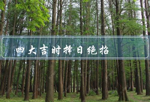 四大吉时择日绝招（子时择日绝招、午时择日绝招、酉时择日绝招）