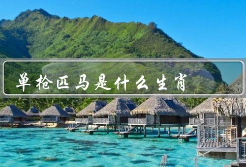 单枪匹马是什么生肖（独立自主、勇敢无畏、孤傲固执）