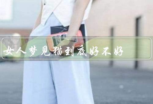 女人梦见猫到底好不好，独立自主、神秘感和灵性、敏锐的观察力