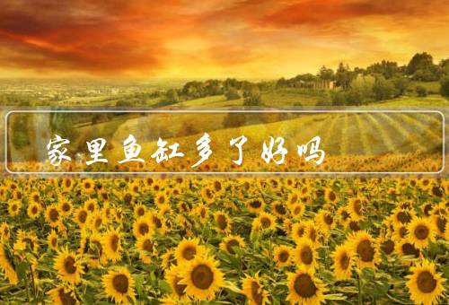 家里鱼缸多了好吗