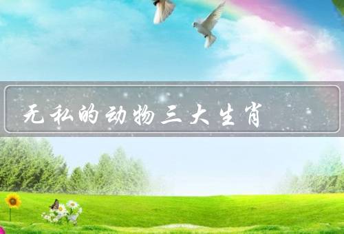无私的动物三大生肖（属鸡／属狗／属猪）