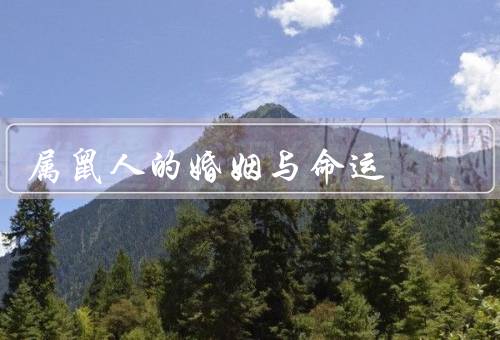 属鼠人的婚姻与命运