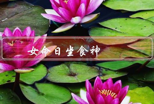 女命日坐食神 千里姻缘，特点／婚姻运势／建议