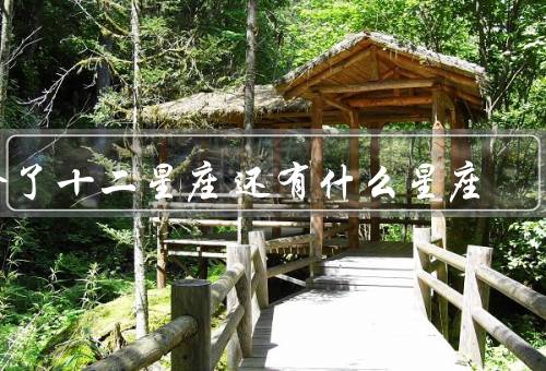 除了十二星座还有什么星座（独角兽座、凤凰座、守护座）