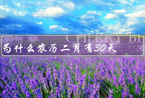 为什么农历二月有30天