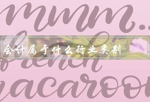 会计属于什么行业类别（定义、职责、相关行业）
