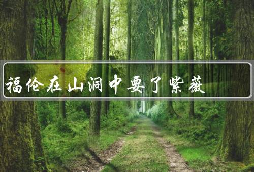 福伦在山洞中要了紫薇，福伦勇敢／感激／攻势