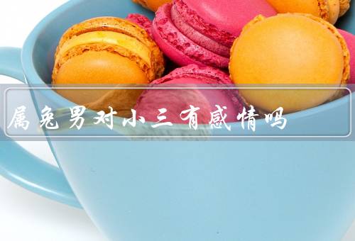 属兔男对小三有感情吗（特点、小三的定义、对小三的感情）