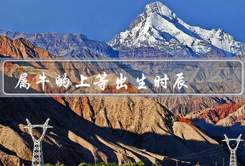 属牛的上等出生时辰（上午时辰／中午时辰／下午时辰）
