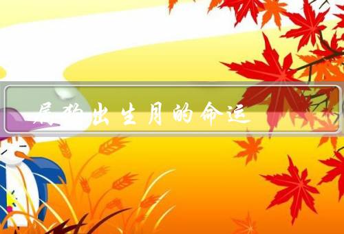 属狗出生月的命运（人际关系、事业发展、财富状况）