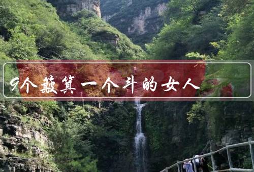 9个簸箕一个斗的女人，坚持／奉献／收获