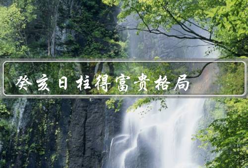 癸亥日柱得富贵格局，聪明机智／抓住机会／良好人际关系