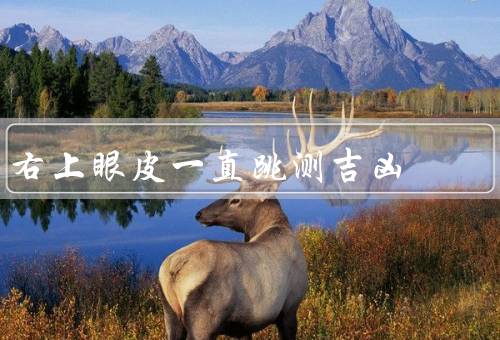 右上眼皮一直跳测吉凶（吉凶象征／科学解释／如何缓解眼皮跳动）