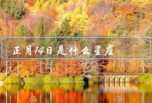 正月14日是什么星座，特点／爱情观／职业选择